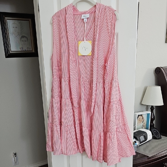 Lisa Marie Fernandez For Target RED and White Striped Sleeveless Dress 1X - Picture 1 of 1